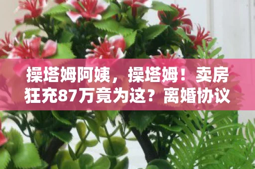 操塔姆阿姨,操塔姆!卖房狂充87万竟为这?离婚协议背后藏惊天隐情! 操塔姆阿姨,操塔姆!卖房狂充87万竟为这?离婚协议背后藏惊天隐情!