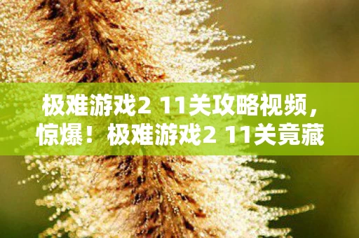 极难游戏2 11关攻略视频,惊爆!极难游戏2 11关竟藏50万隐情,真相让人吓一跳! 极难游戏2 11关攻略视频,惊爆!极难游戏2 11关竟藏50万隐情,真相让人吓一跳!