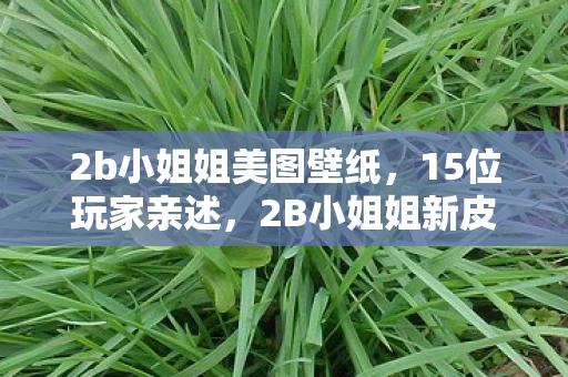 2b小姐姐美图壁纸,15位玩家亲述,2B小姐姐新皮肤疑点重重,这细节谁绷得住啊! 2b小姐姐美图壁纸,15位玩家亲述,2B小姐姐新皮肤疑点重重,这细节谁绷得住啊!
