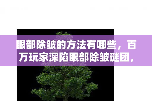 眼部除皱的方法有哪些,百万玩家深陷眼部除皱谜团,这款游戏竟让所有人集体破防! 眼部除皱的方法有哪些,百万玩家深陷眼部除皱谜团,这款游戏竟让所有人集体破防!