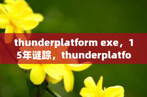 thunderplatform exe,15年谜踪,thunderplatform的代码废墟里,藏着谁未寄出的泪目情书? thunderplatform exe,15年谜踪,thunderplatform的代码废墟里,藏着谁未寄出的泪目情书?