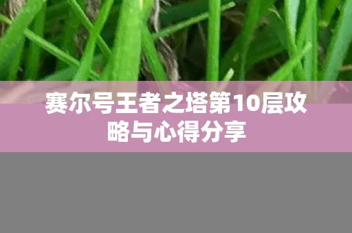 赛尔号王者之塔第10层攻略与心得分享 赛尔号王者之塔第10层攻略与心得分享