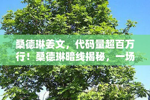 桑德琳姜文,代码量超百万行!桑德琳暗线揭秘,一场让玩家头皮发麻的生存革命 桑德琳姜文,代码量超百万行!桑德琳暗线揭秘,一场让玩家头皮发麻的生存革命