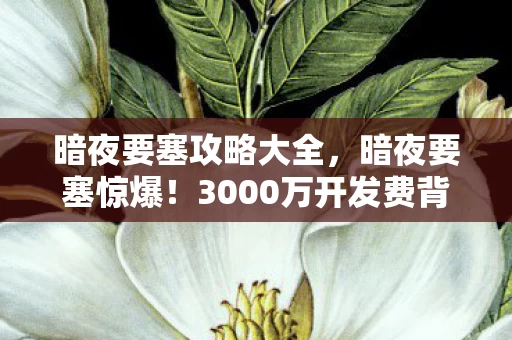 暗夜要塞攻略大全,暗夜要塞惊爆!3000万开发费背后藏着啥隐情?看完吓一跳! 暗夜要塞攻略大全,暗夜要塞惊爆!3000万开发费背后藏着啥隐情?看完吓一跳!