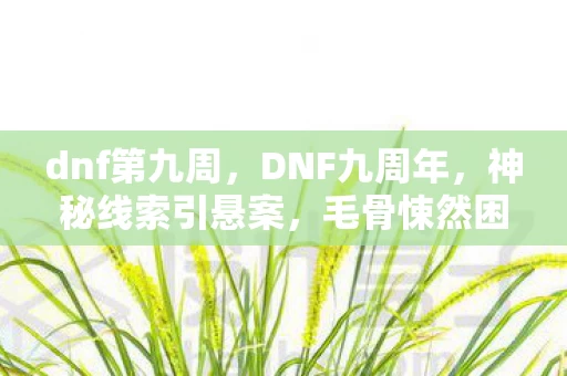dnf第九周，DNF九周年，神秘线索引悬案，毛骨悚然困兽之谜