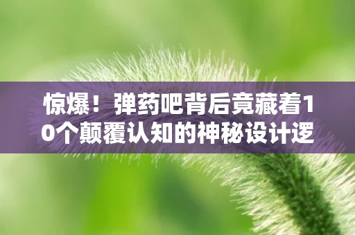 惊爆!弹药吧背后竟藏着10个颠覆认知的神秘设计逻辑! 惊爆!弹药吧背后竟藏着10个颠覆认知的神秘设计逻辑!