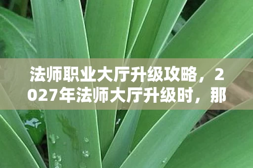 法师职业大厅升级攻略,2027年法师大厅升级时,那句等我成了伏笔,如今想起鼻子一酸 法师职业大厅升级攻略,2027年法师大厅升级时,那句等我成了伏笔,如今想起鼻子一酸