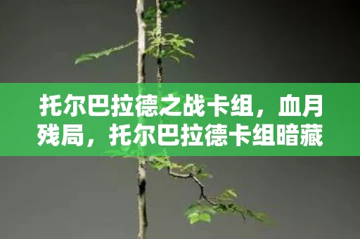 托尔巴拉德之战卡组,血月残局,托尔巴拉德卡组暗藏的千年悬案与毛骨悚然真相 托尔巴拉德之战卡组,血月残局,托尔巴拉德卡组暗藏的千年悬案与毛骨悚然真相