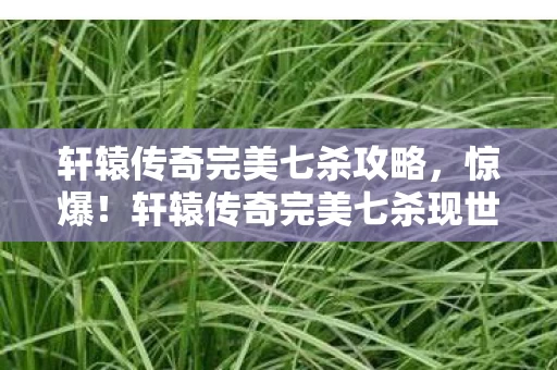 轩辕传奇完美七杀攻略,惊爆!轩辕传奇完美七杀现世,99%玩家竟不知的逆天秘密? 轩辕传奇完美七杀攻略,惊爆!轩辕传奇完美七杀现世,99%玩家竟不知的逆天秘密?