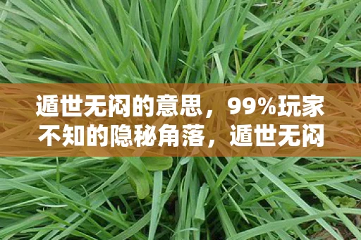 遁世无闷的意思,99%玩家不知的隐秘角落,遁世无闷里,藏着多少人的孤独与狂欢? 遁世无闷的意思,99%玩家不知的隐秘角落,遁世无闷里,藏着多少人的孤独与狂欢?