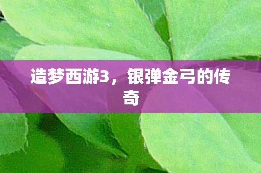 银弹金弓的传奇图片
