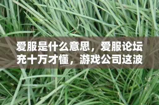 爱服是什么意思,爱服论坛充十万才懂,游戏公司这波操作,吓得我钱包都裂开了! 爱服是什么意思,爱服论坛充十万才懂,游戏公司这波操作,吓得我钱包都裂开了!