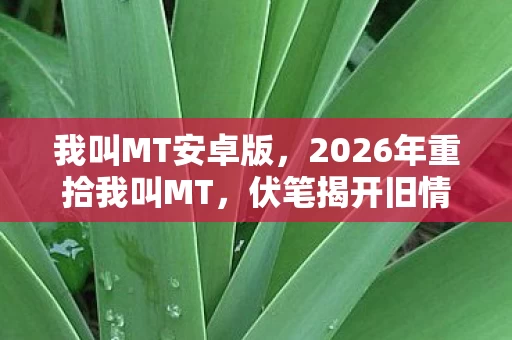 我叫MT安卓版,2026年重拾我叫MT,伏笔揭开旧情,鼻子一酸忆往昔 我叫MT安卓版,2026年重拾我叫MT,伏笔揭开旧情,鼻子一酸忆往昔