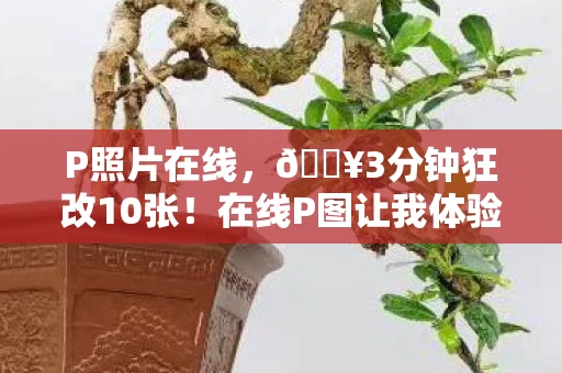 P照片在线,🔥3分钟狂改10张!在线P图让我体验到颜值自由的爽感! P照片在线,🔥3分钟狂改10张!在线P图让我体验到颜值自由的爽感!