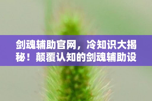 剑魂辅助官网,冷知识大揭秘!颠覆认知的剑魂辅助设计,让你目瞪口呆! 剑魂辅助官网,冷知识大揭秘!颠覆认知的剑魂辅助设计,让你目瞪口呆!