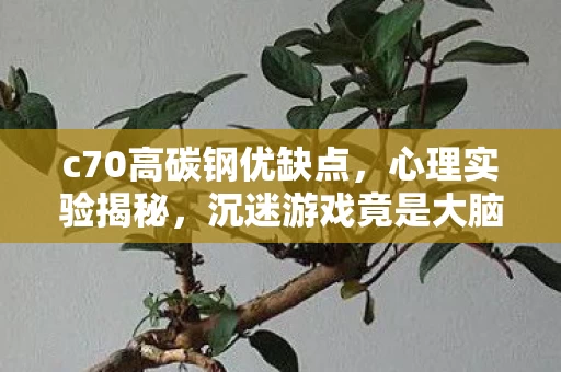 c70高碳钢优缺点,心理实验揭秘,沉迷游戏竟是大脑被操控?细思极恐的多巴胺陷阱 c70高碳钢优缺点,心理实验揭秘,沉迷游戏竟是大脑被操控?细思极恐的多巴胺陷阱