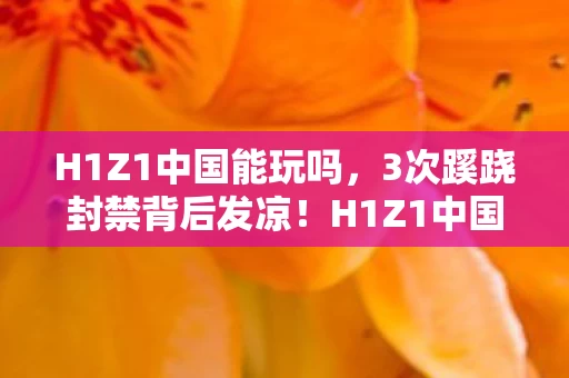 H1Z1中国能玩吗,3次蹊跷封禁背后发凉!H1Z1中国玩家集体消失的真相竟是…… H1Z1中国能玩吗,3次蹊跷封禁背后发凉!H1Z1中国玩家集体消失的真相竟是……