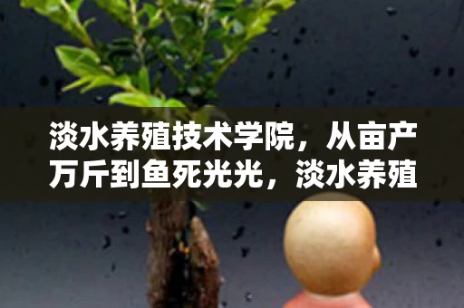 淡水养殖技术学院,从亩产万斤到鱼死光光,淡水养殖的真相,笑着点开哭着关掉 淡水养殖技术学院,从亩产万斤到鱼死光光,淡水养殖的真相,笑着点开哭着关掉