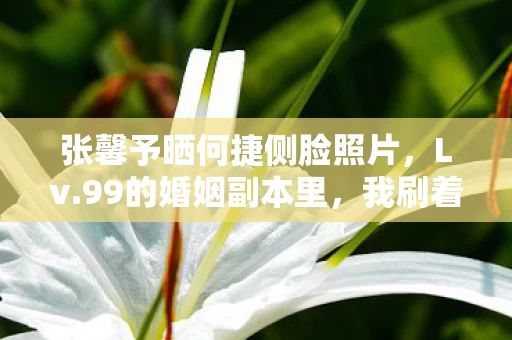张馨予晒何捷侧脸照片,Lv.99的婚姻副本里,我刷着老婆的侧颜却卡在父亲新手村 张馨予晒何捷侧脸照片,Lv.99的婚姻副本里,我刷着老婆的侧颜却卡在父亲新手村
