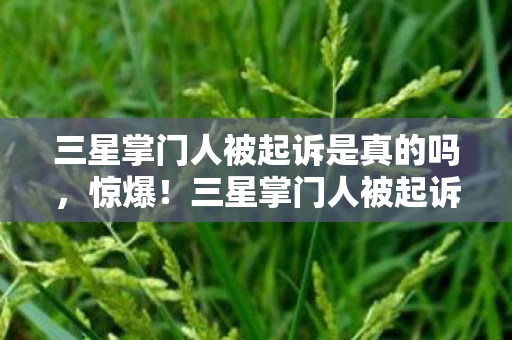 三星掌门人被起诉是真的吗，惊爆！三星掌门人被起诉，涉1200亿隐情曝光，真相让人吓一跳！