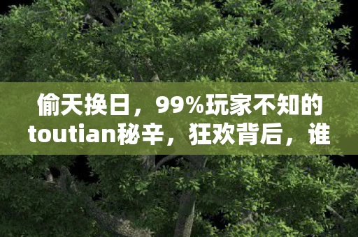 偷天换日，99%玩家不知的toutian秘辛，狂欢背后，谁在透支你的热情？