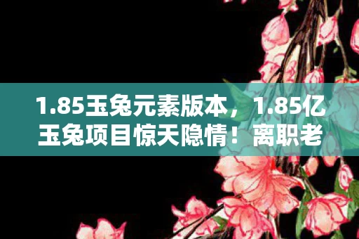 1.85玉兔元素版本，1.85亿玉兔项目惊天隐情！离职老兵拍桌怒吼，这烂摊子早该掀了！