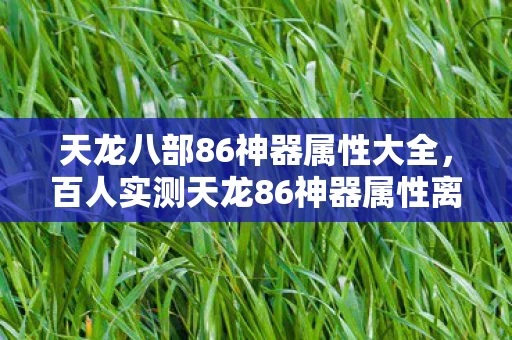 天龙八部86神器属性大全，百人实测天龙86神器属性离谱？老炮，这疑点我网吧十五年都没绷住！