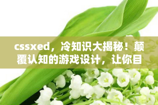 cssxed,冷知识大揭秘!颠覆认知的游戏设计,让你目瞪口呆的真相 cssxed,冷知识大揭秘!颠覆认知的游戏设计,让你目瞪口呆的真相