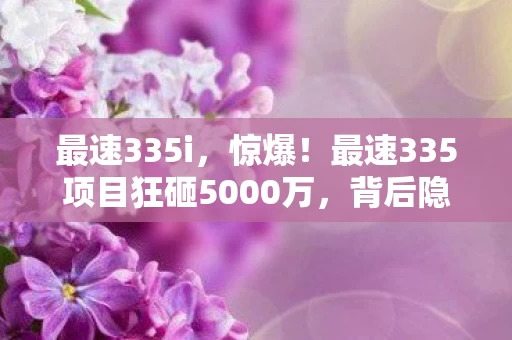 最速335i，惊爆！最速335项目狂砸5000万，背后隐情曝光，真让人吓一跳！