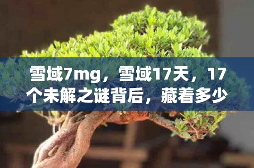 雪域7mg,雪域17天,17个未解之谜背后,藏着多少开发者的泪与笑? 雪域7mg,雪域17天,17个未解之谜背后,藏着多少开发者的泪与笑?