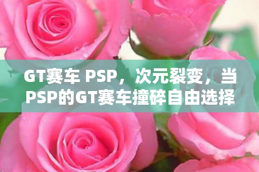 GT赛车 PSP，次元裂变，当PSP的GT赛车撞碎自由选择的哲学谎言