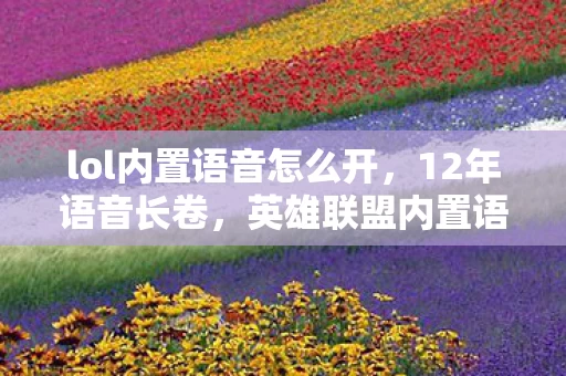 lol内置语音怎么开,12年语音长卷,英雄联盟内置语音的沉默与呐喊,泪目真相待揭 lol内置语音怎么开,12年语音长卷,英雄联盟内置语音的沉默与呐喊,泪目真相待揭
