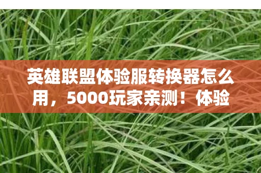 英雄联盟体验服转换器怎么用,5000玩家亲测!体验服转换器疑点重重,大神萌新齐喊绷不住了 英雄联盟体验服转换器怎么用,5000玩家亲测!体验服转换器疑点重重,大神萌新齐喊绷不住了