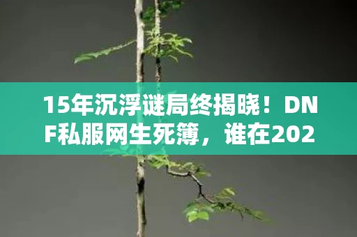 15年沉浮谜局终揭晓!DNF私服网生死簿,谁在2027年泪目离场? 15年沉浮谜局终揭晓!DNF私服网生死簿,谁在2027年泪目离场?