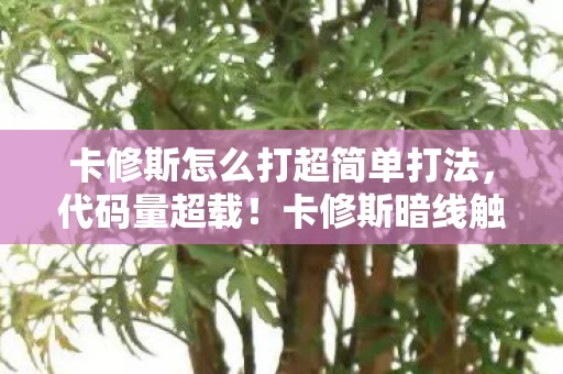 卡修斯怎么打超简单打法,代码量超载!卡修斯暗线触发神经脉冲风暴,玩家集体头皮发麻 卡修斯怎么打超简单打法,代码量超载!卡修斯暗线触发神经脉冲风暴,玩家集体头皮发麻