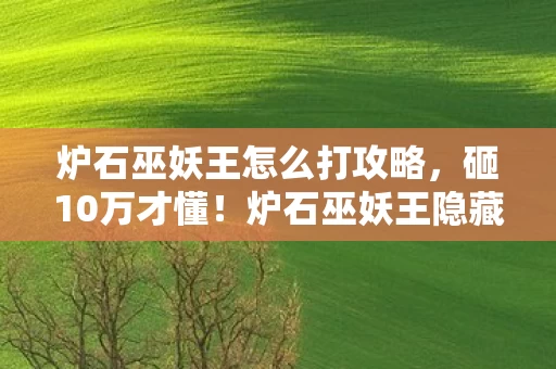 炉石巫妖王怎么打攻略，砸10万才懂！炉石巫妖王隐藏机制坑哭冤种，策划你敢站出来吗？