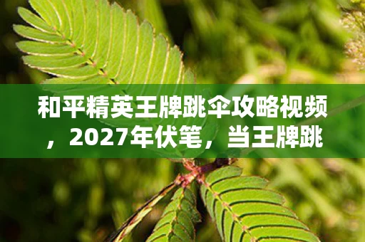 和平精英王牌跳伞攻略视频,2027年伏笔,当王牌跳伞遇见凌晨三点的等你,鼻子一酸才懂何为归处 和平精英王牌跳伞攻略视频,2027年伏笔,当王牌跳伞遇见凌晨三点的等你,鼻子一酸才懂何为归处