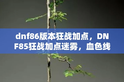 dnf86版本狂战加点，DNF85狂战加点迷雾，血色线索背后的悬案，真相令人毛骨悚然