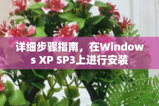 在Windows XP SP3上进行安装图片