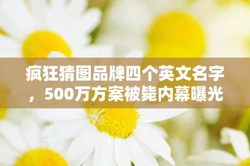 疯狂猜图品牌四个英文名字，500万方案被毙内幕曝光！离职老兵掀桌怒吼，这隐情能吓你一跳！