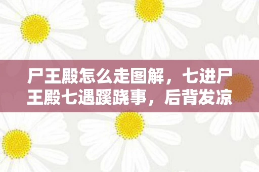 尸王殿怎么走图解，七进尸王殿七遇蹊跷事，后背发凉才知被游戏耍了七年
