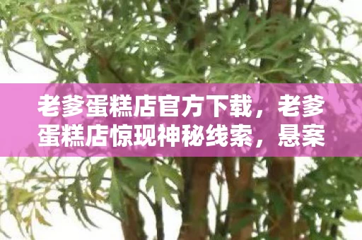 老爹蛋糕店官方下载,老爹蛋糕店惊现神秘线索,悬案背后竟藏着毛骨悚然的真相! 老爹蛋糕店官方下载,老爹蛋糕店惊现神秘线索,悬案背后竟藏着毛骨悚然的真相!