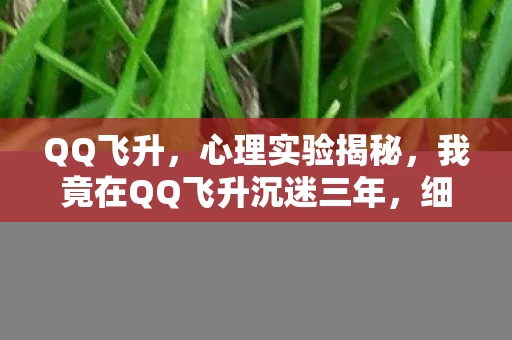 QQ飞升,心理实验揭秘,我竟在QQ飞升沉迷三年,细思极恐的自我囚禁 QQ飞升,心理实验揭秘,我竟在QQ飞升沉迷三年,细思极恐的自我囚禁