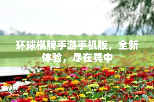 环球棋牌手游手机版图片