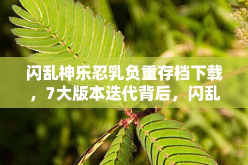 闪乱神乐忍乳负重存档下载,7大版本迭代背后,闪乱神乐忍乳负重藏着多少未解之谜? 闪乱神乐忍乳负重存档下载,7大版本迭代背后,闪乱神乐忍乳负重藏着多少未解之谜?