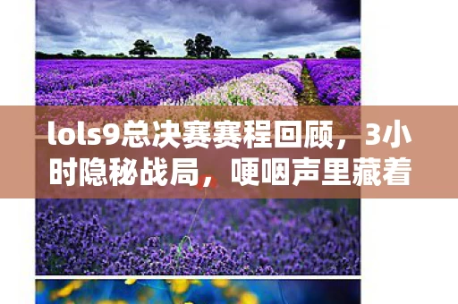 lols9总决赛赛程回顾,3小时隐秘战局,哽咽声里藏着LOL S9总决赛的青春终章 lols9总决赛赛程回顾,3小时隐秘战局,哽咽声里藏着LOL S9总决赛的青春终章