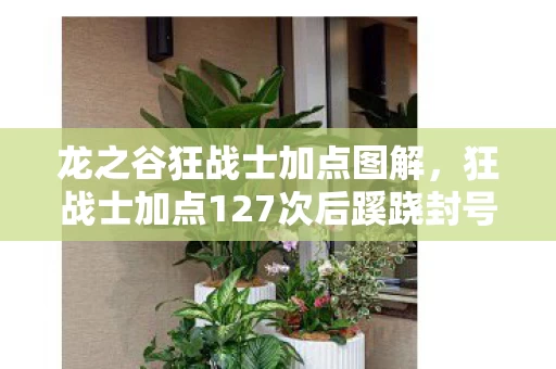 龙之谷狂战士加点图解,狂战士加点127次后蹊跷封号,真相让百万玩家后背发凉 龙之谷狂战士加点图解,狂战士加点127次后蹊跷封号,真相让百万玩家后背发凉