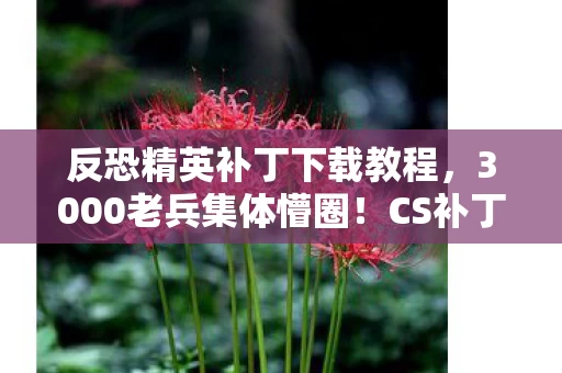 反恐精英补丁下载教程,3000老兵集体懵圈!CS补丁暗藏玄机?网吧老炮,这波我绷不住了! 反恐精英补丁下载教程,3000老兵集体懵圈!CS补丁暗藏玄机?网吧老炮,这波我绷不住了!
