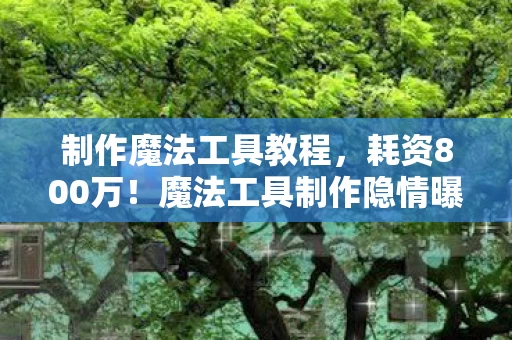 制作魔法工具教程,耗资800万!魔法工具制作隐情曝光,结果让人吓一跳! 制作魔法工具教程,耗资800万!魔法工具制作隐情曝光,结果让人吓一跳!