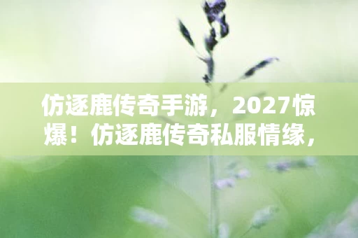 仿逐鹿传奇手游,2027惊爆!仿逐鹿传奇私服情缘,伏笔揭开竟鼻子一酸 仿逐鹿传奇手游,2027惊爆!仿逐鹿传奇私服情缘,伏笔揭开竟鼻子一酸